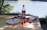 sortie en suisse romande