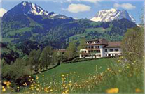 les chevaliers à gruyères