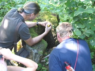 sortie de groupe pour entreprise